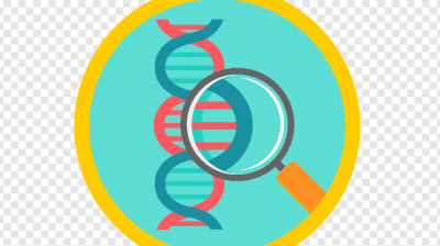 5P_ELEMENTOS DE QUÍMICA II